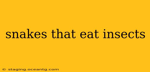 snakes that eat insects