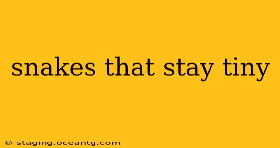 snakes that stay tiny