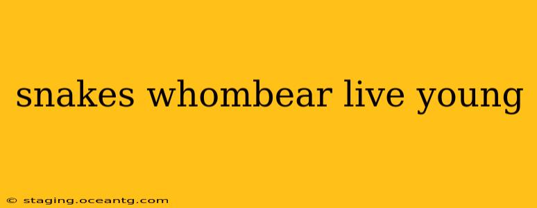 snakes whombear live young