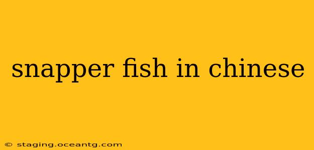 snapper fish in chinese