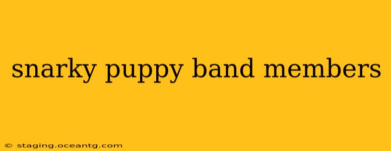 snarky puppy band members
