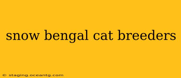 snow bengal cat breeders