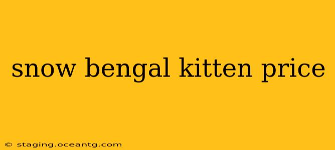 snow bengal kitten price