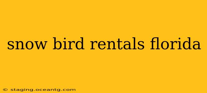 snow bird rentals florida