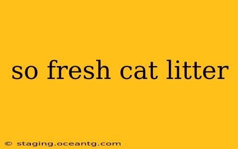 so fresh cat litter
