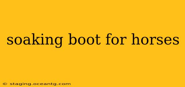 soaking boot for horses