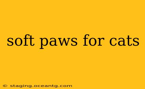 soft paws for cats