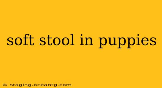 soft stool in puppies