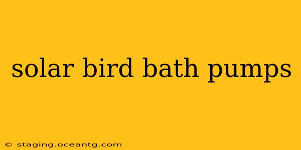 solar bird bath pumps