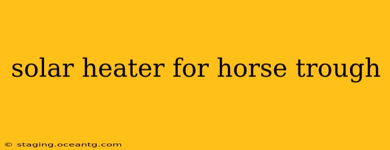 solar heater for horse trough