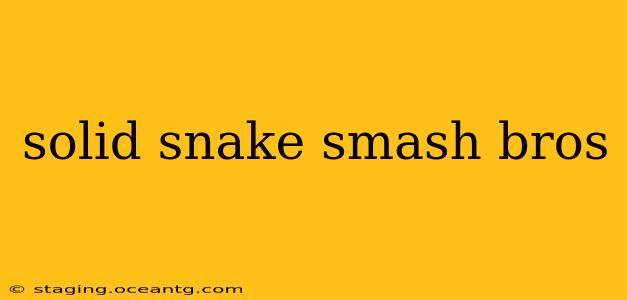 solid snake smash bros