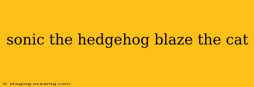 sonic the hedgehog blaze the cat