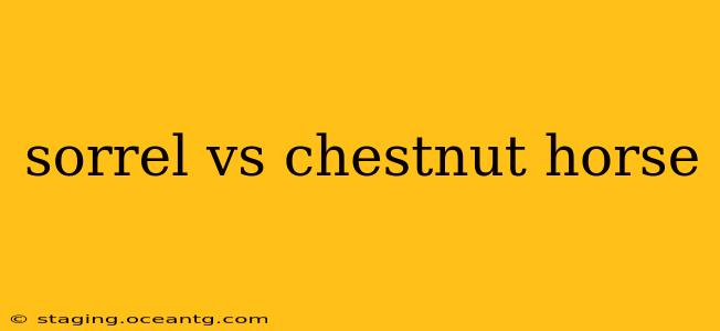 sorrel vs chestnut horse