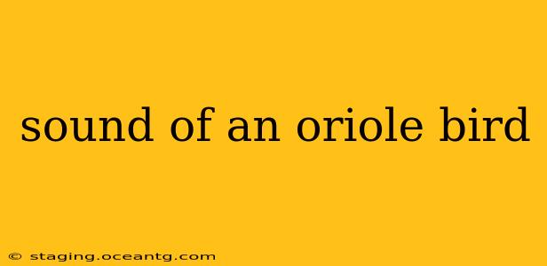sound of an oriole bird
