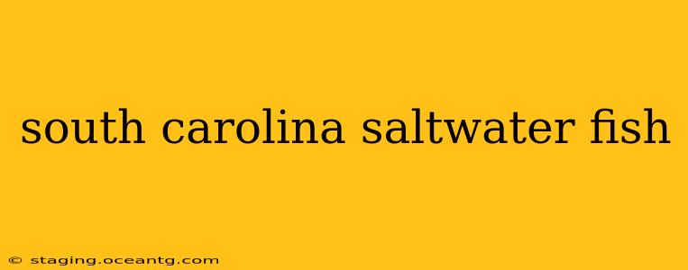 south carolina saltwater fish
