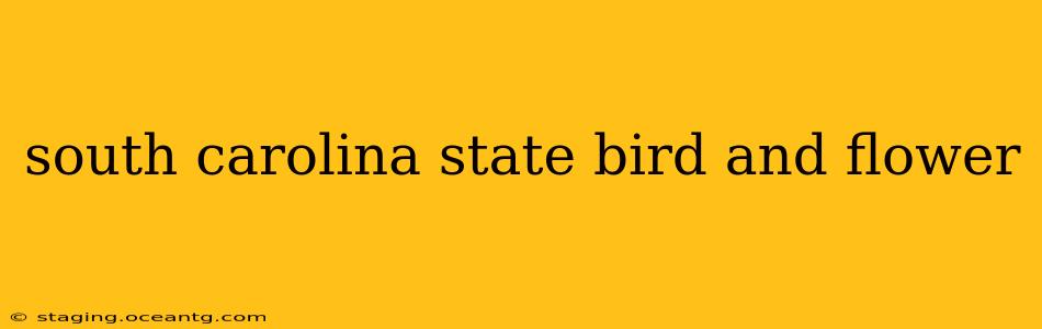south carolina state bird and flower