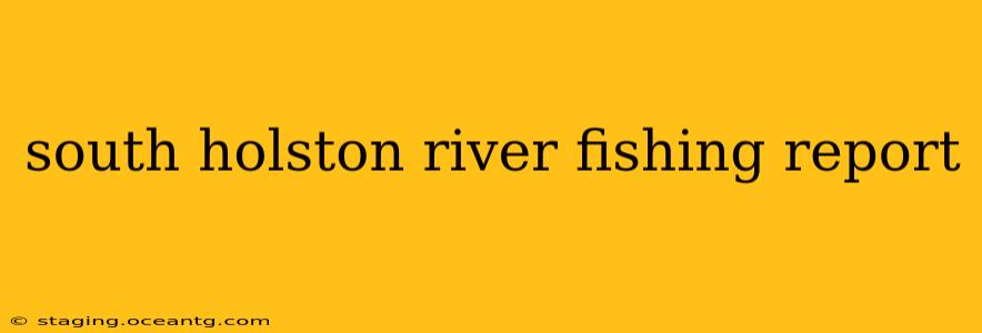 south holston river fishing report