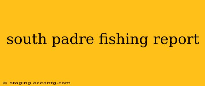 south padre fishing report