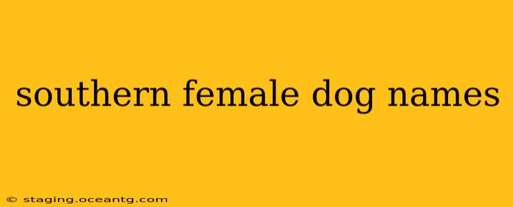 southern female dog names