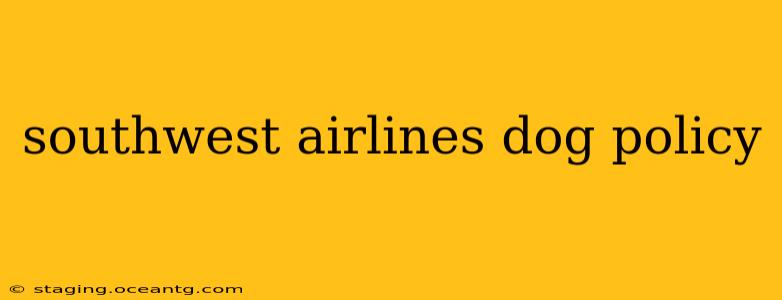 southwest airlines dog policy