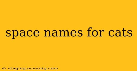 space names for cats