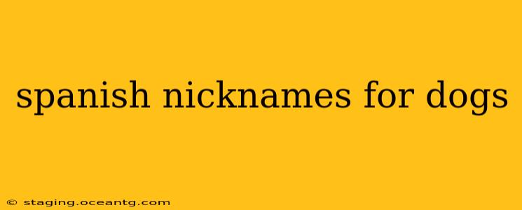 spanish nicknames for dogs