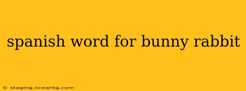 spanish word for bunny rabbit