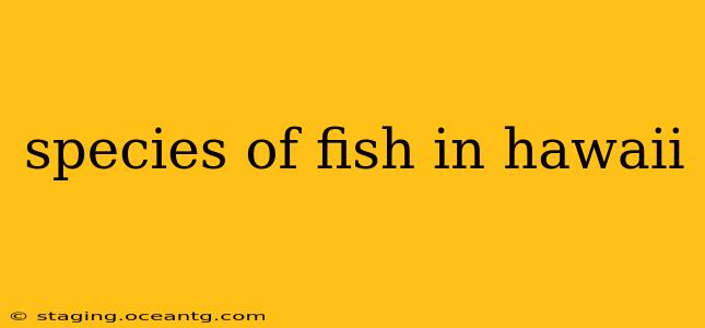 species of fish in hawaii