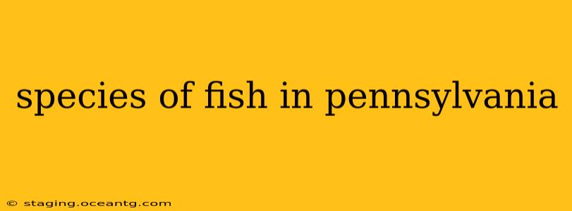 species of fish in pennsylvania