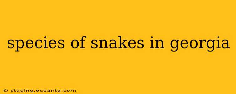 species of snakes in georgia