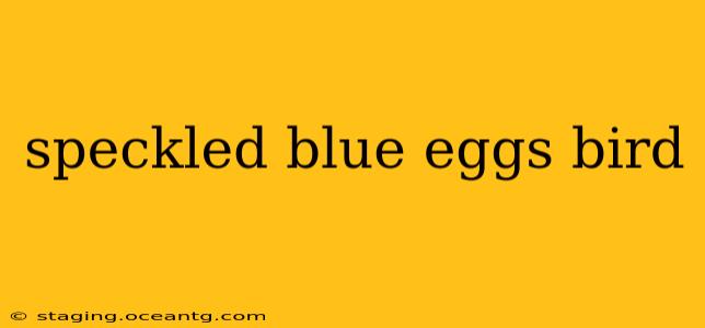 speckled blue eggs bird