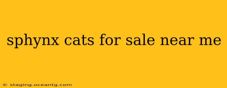 sphynx cats for sale near me