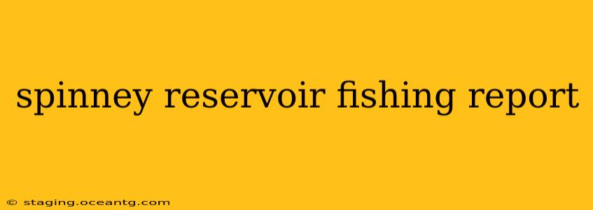 spinney reservoir fishing report