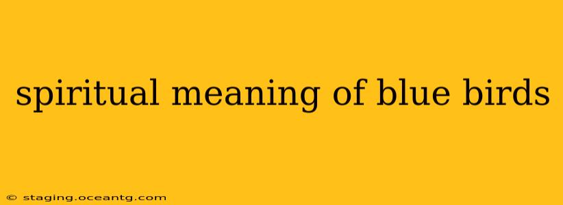 spiritual meaning of blue birds