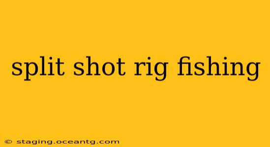 split shot rig fishing
