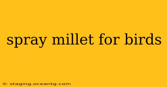 spray millet for birds