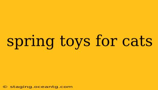 spring toys for cats