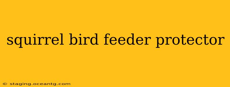 squirrel bird feeder protector