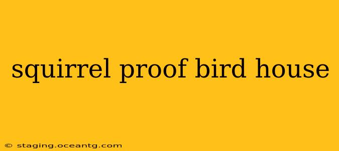 squirrel proof bird house