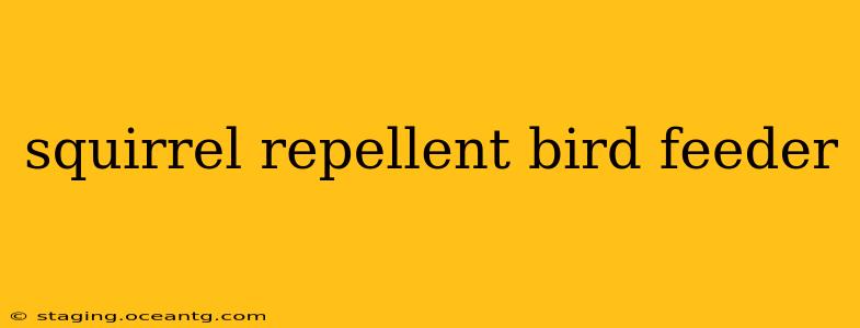 squirrel repellent bird feeder