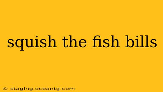 squish the fish bills