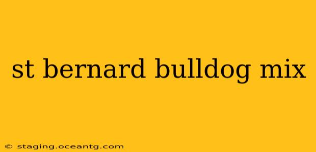 st bernard bulldog mix