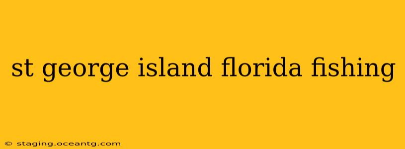 st george island florida fishing