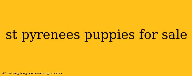 st pyrenees puppies for sale