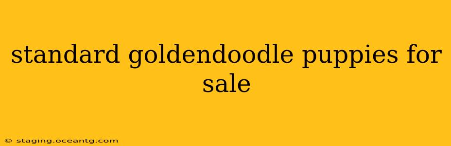 standard goldendoodle puppies for sale