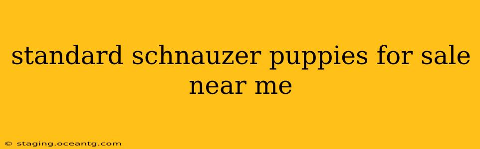 standard schnauzer puppies for sale near me