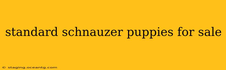 standard schnauzer puppies for sale