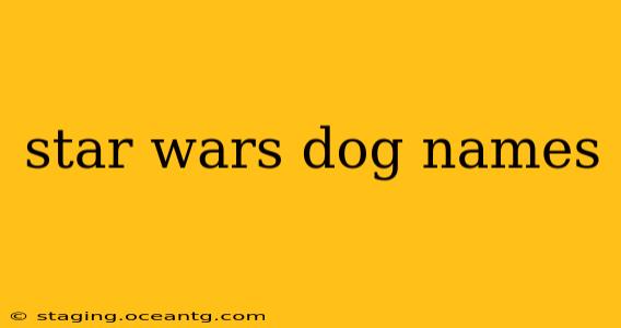 star wars dog names