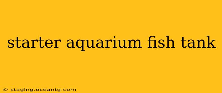 starter aquarium fish tank