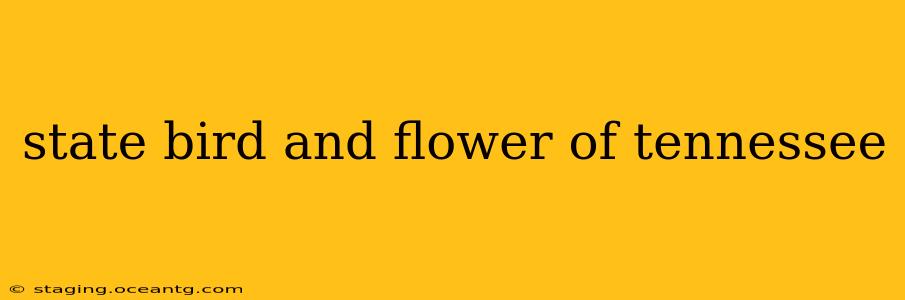 state bird and flower of tennessee